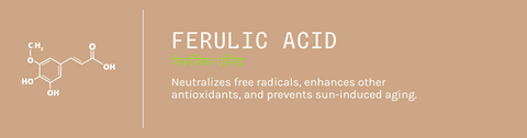 Ferulic Acid